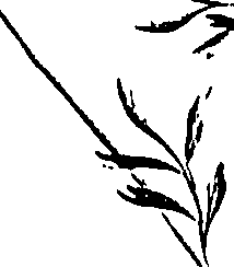 099/099310011101160_0.png