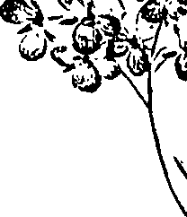 099/099310011101160_1.png