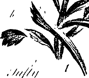 099/099310011101160_2.png