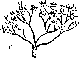 099/099310011101170_0.png