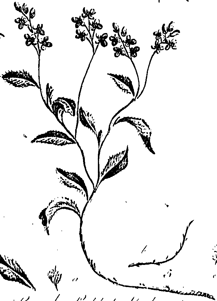 099/099310011101170_1.png