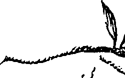 099/099310011101170_2.png