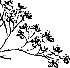 099/099310011101170_3.png