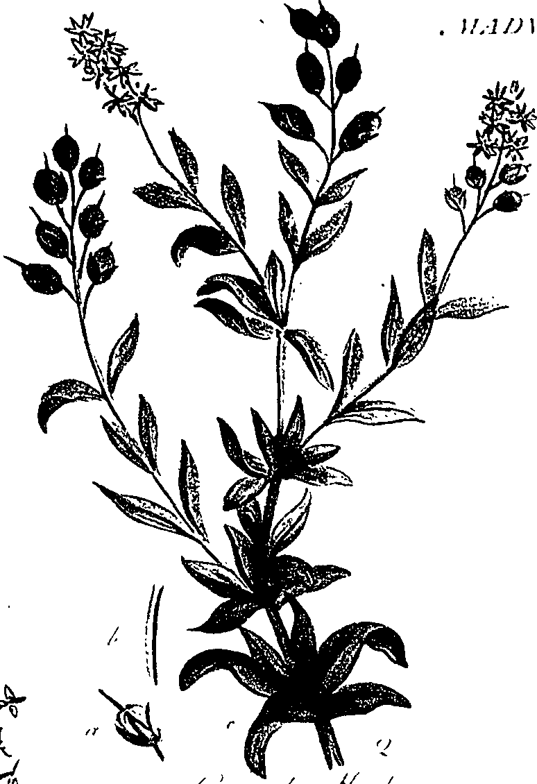 099/099310011101180_1.png
