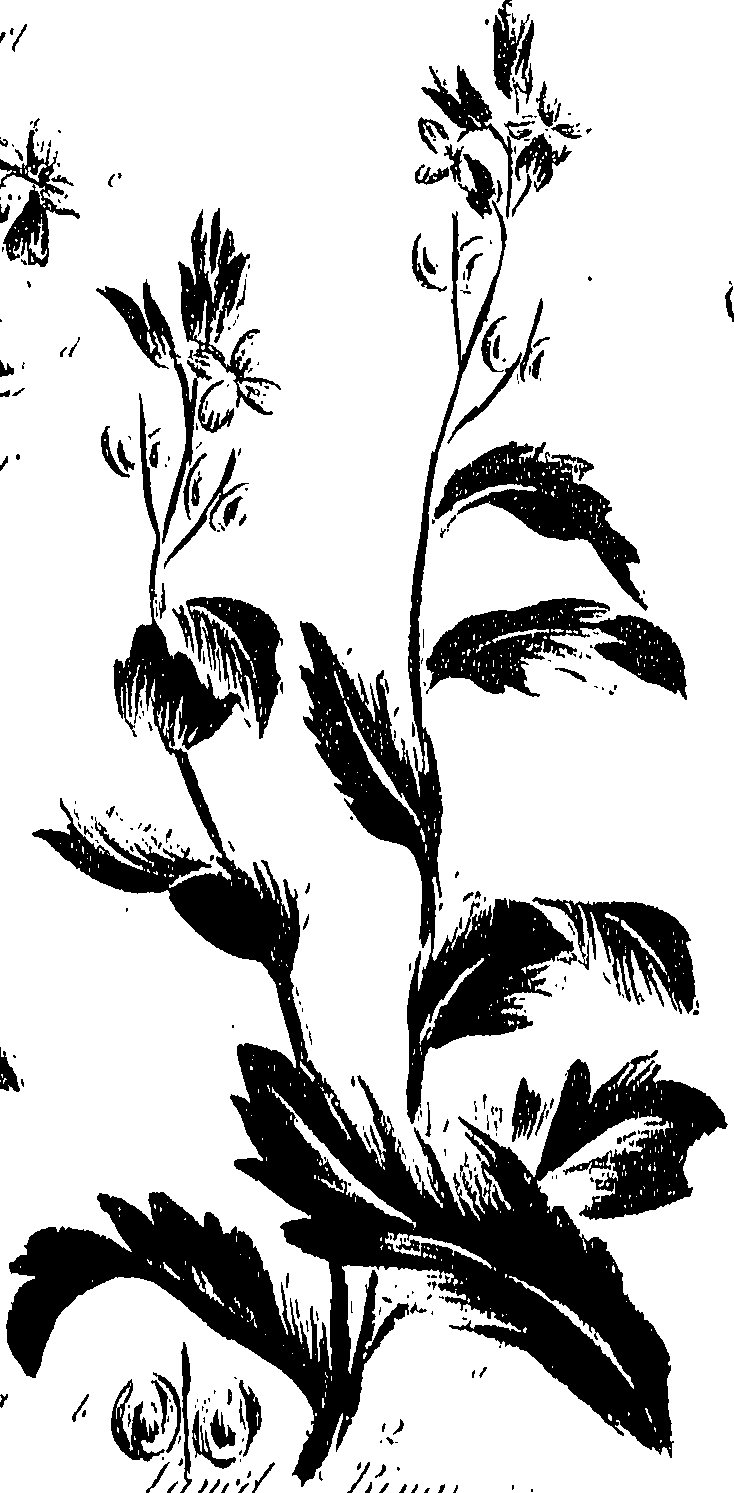 099/099310011101190_0.png