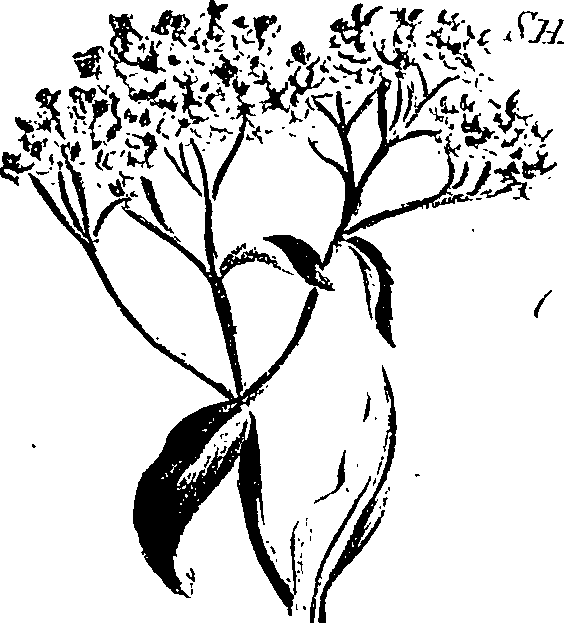 099/099310011101190_2.png