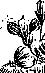 099/099310011101200_0.png