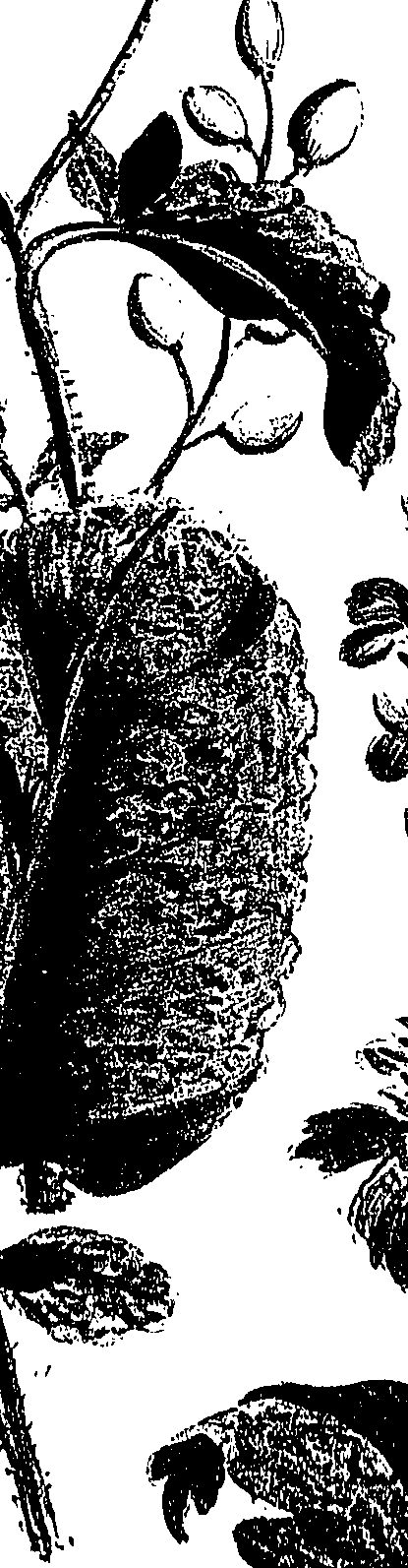 099/099310011101210_0.png