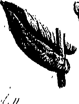 099/099310011101230_0.png