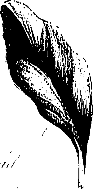 099/099310011101230_1.png