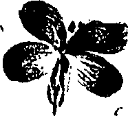 099/099310011101240_1.png