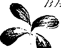 099/099310011101240_2.png