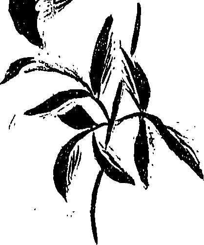 099/099310011101250_0.png