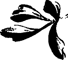 099/099320011200730_0.png