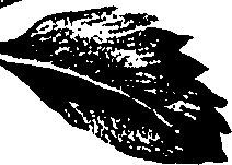 099/099320011200740_1.png