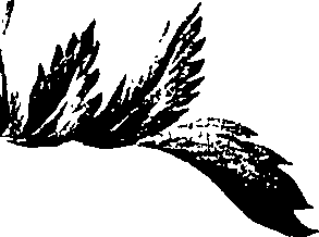 099/099320011200740_2.png