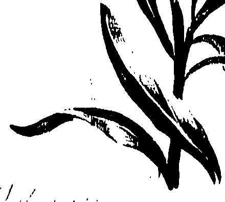 099/099320011200750_0.png