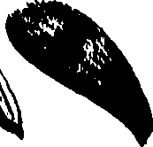 099/099320011200760_0.png