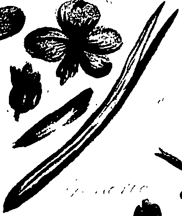 099/099320011200760_1.png