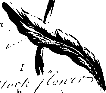 099/099320011200770_0.png
