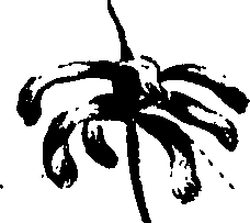 099/099320011200770_1.png
