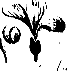 099/099320011200790_0.png