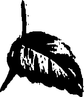 099/099320011200800_0.png