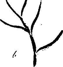 099/099320011200800_1.png