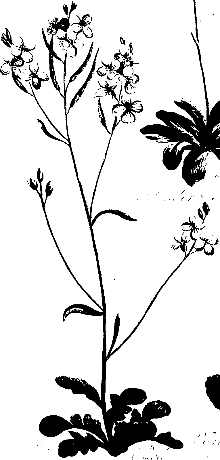 099/099320011200810_0.png