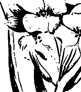 099/099320011200840_0.png