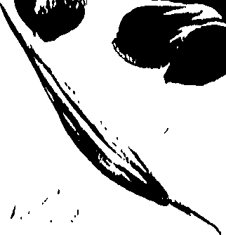 099/099320011200870_0.png