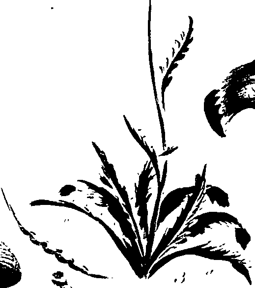 099/099320011200870_1.png