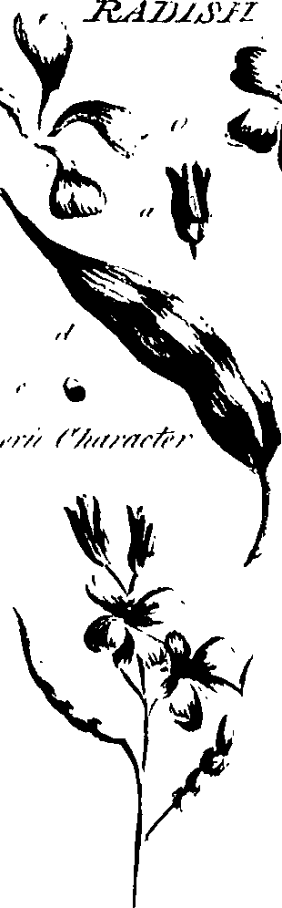 099/099320011200870_2.png