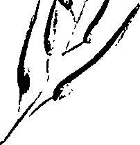 099/099320011200880_1.png