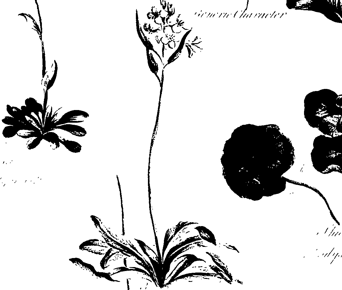 099/099320011200880_2.png