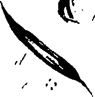 099/099320011200880_3.png