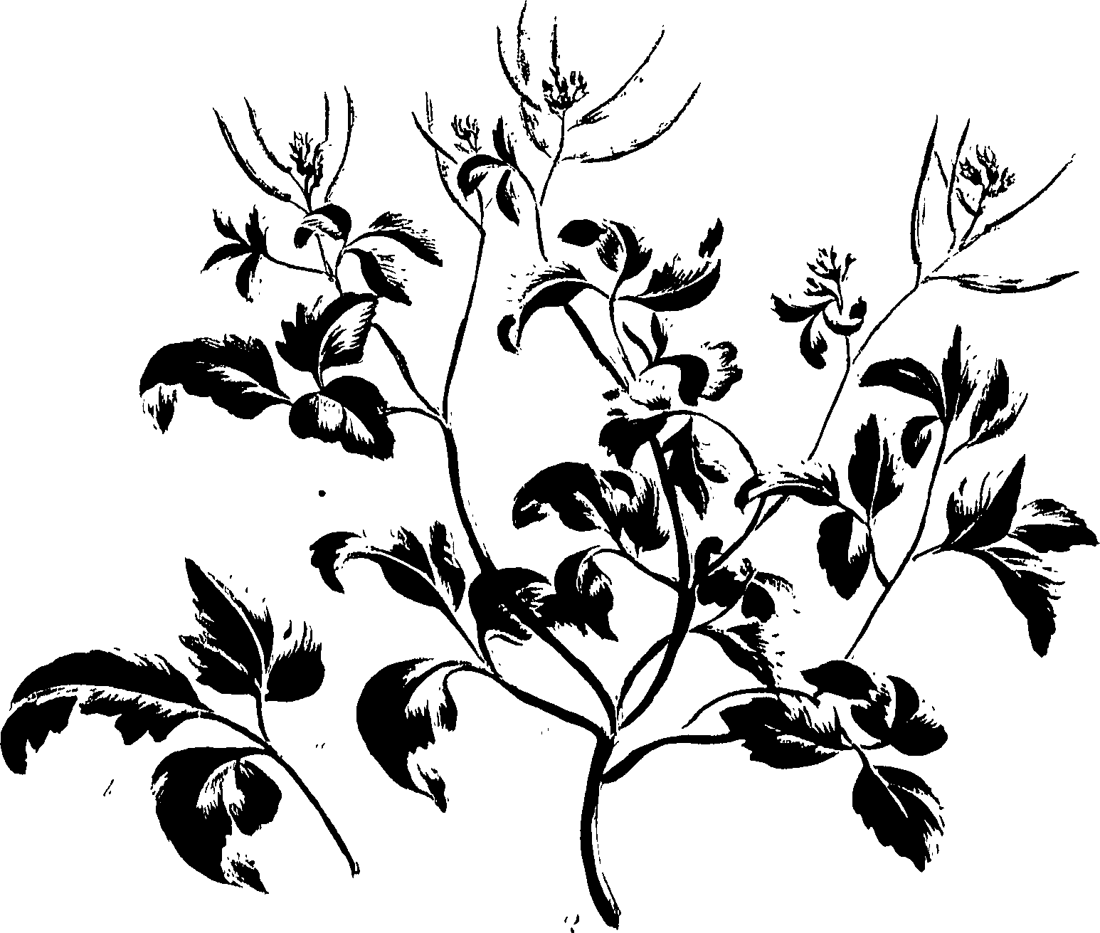 099/099320011200890_0.png