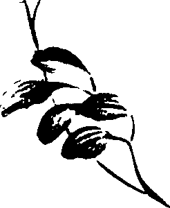 099/099320011200900_0.png