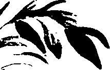 099/099320011200910_0.png