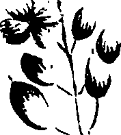 099/099320011200920_0.png