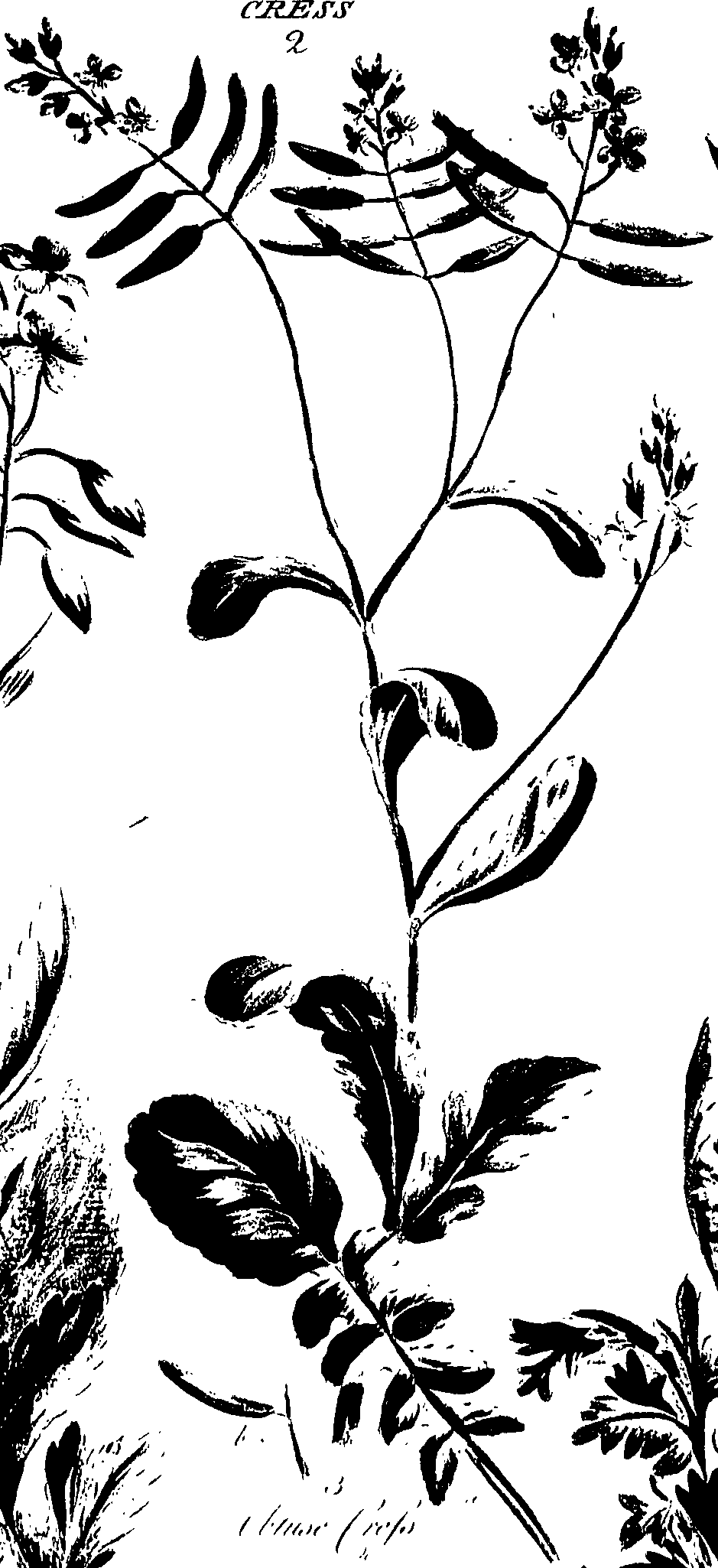099/099320011200930_0.png