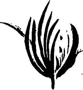 099/099320011200940_0.png