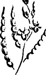 099/099320011200950_0.png