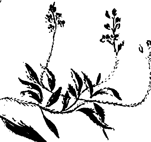 099/099320011200950_1.png