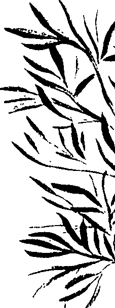 099/099320011200960_0.png