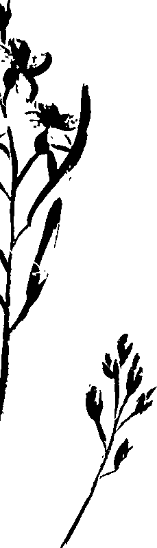 099/099320011200960_1.png