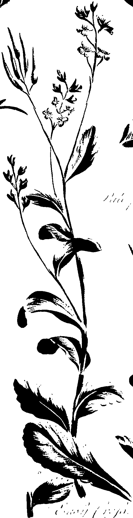 099/099320011200970_0.png