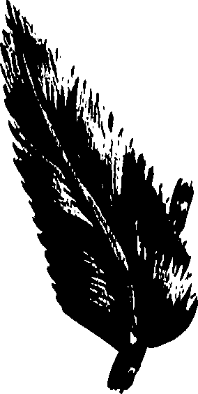099/099320011200980_0.png