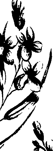 099/099320011201000_1.png