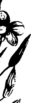 099/099320011201010_0.png
